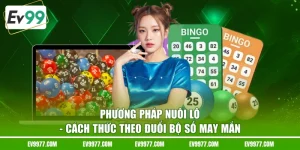 Phương Pháp Nuôi Lô - Cách Thức Theo Đuổi Bộ Số May Mắn