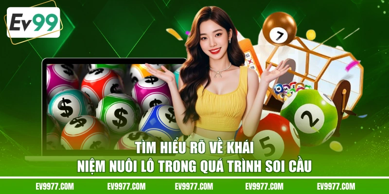 Tìm hiểu rõ về khái niệm nuôi lô trong quá trình soi cầu